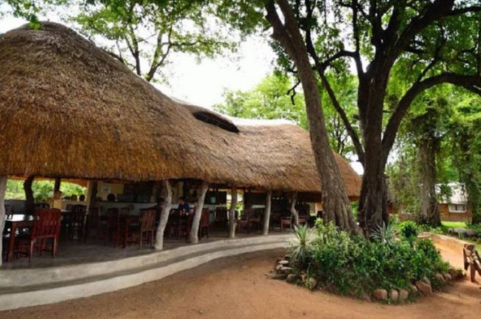 7 Days Best of Zambia Safari – Kafue & South Luangwa National Park
