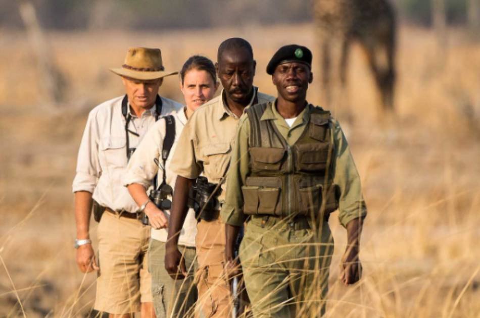 7 Days Best of Zambia Safari – Kafue & South Luangwa National Park