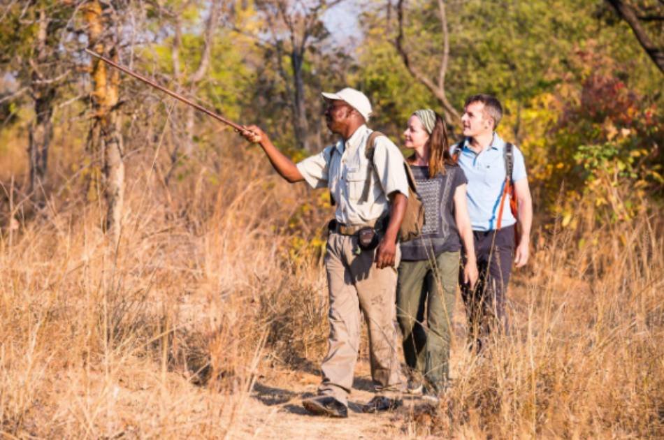 7 Days Best of Zambia Safari – Kafue & South Luangwa National Park