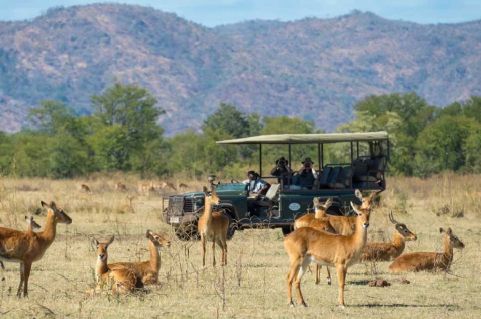 7 Days Best of Zambia Safari – Kafue & South Luangwa National Park
