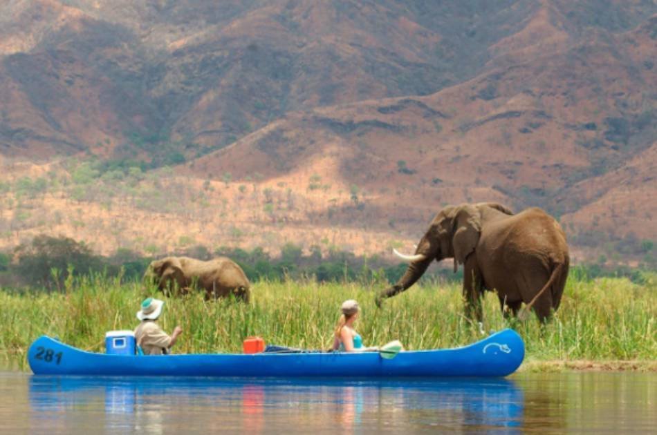 7 Days Best of Zambia Safari – Kafue & South Luangwa National Park
