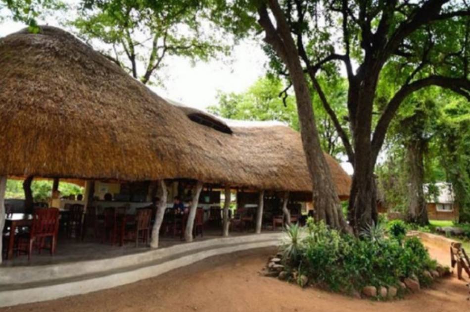 7 Days South Luangwa Affordable Zambia Safari