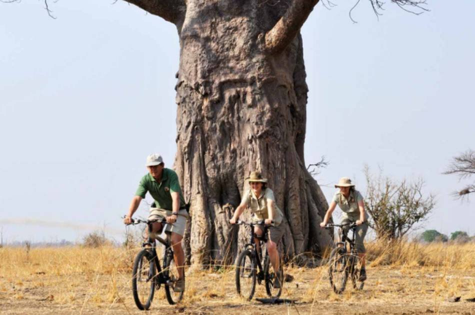 7 Days South Luangwa Affordable Zambia Safari