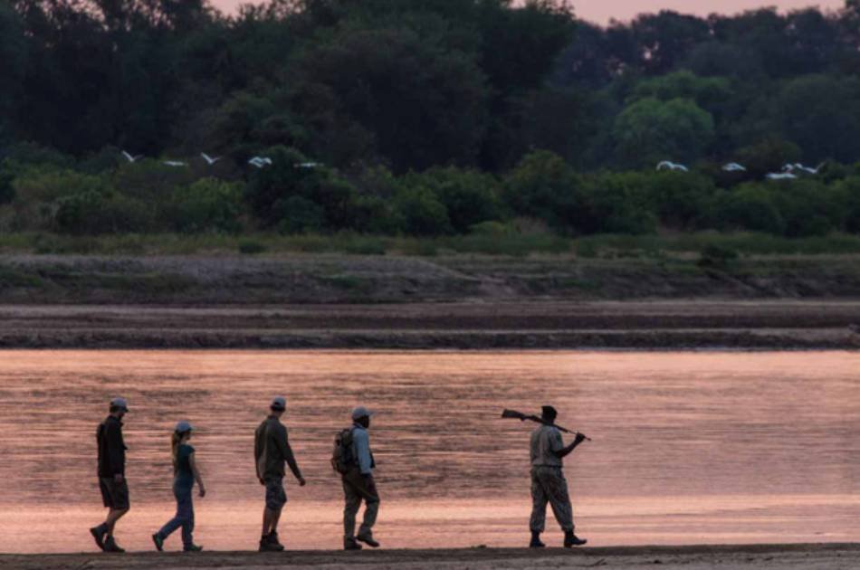7 Days South Luangwa Affordable Zambia Safari