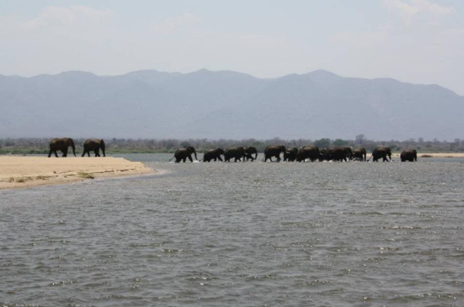 7 Days – South Luangwa & Lower Zambezi Zambia Safari
