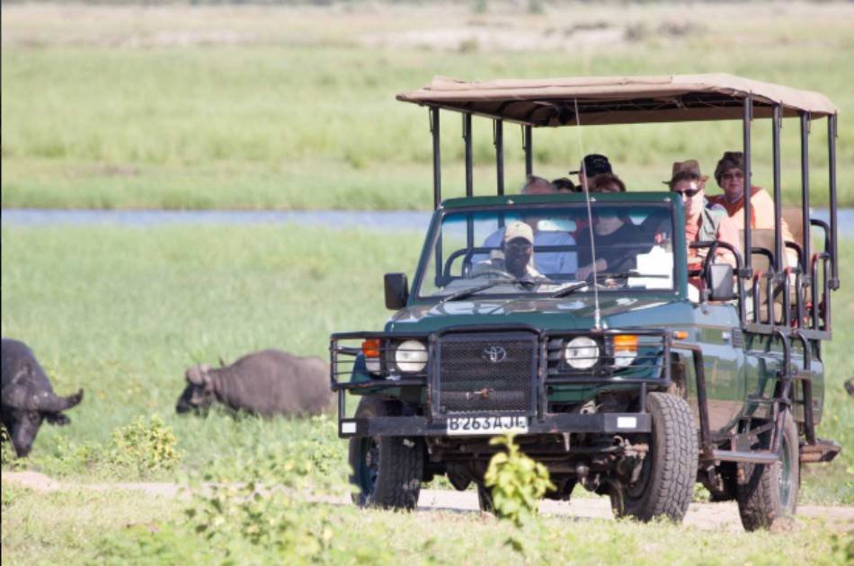 7 Days South Luangwa & Victoria Falls Safari – Zambia