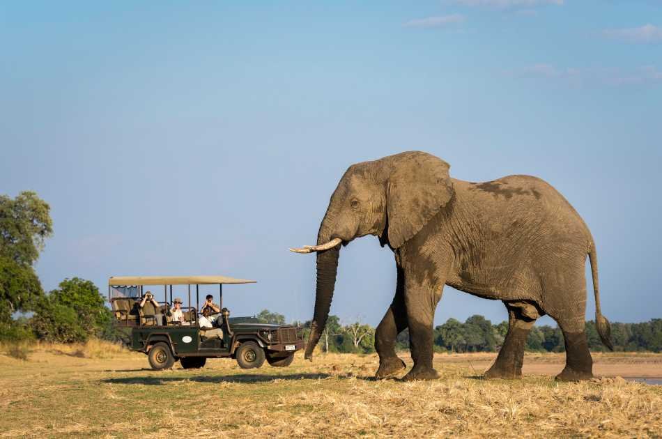 8 Days Stunning Zambia Safari Tour