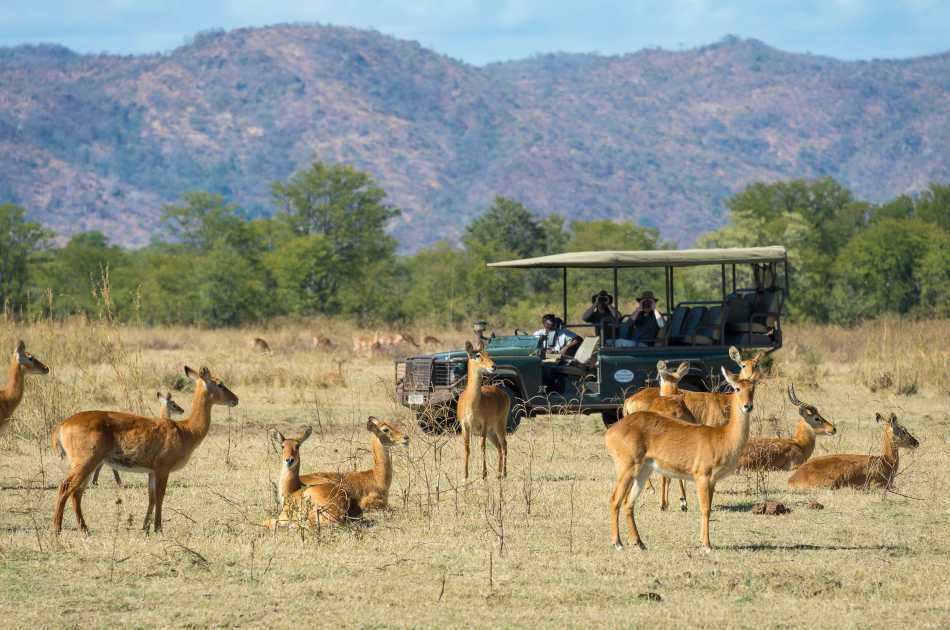 8 Days Stunning Zambia Safari Tour