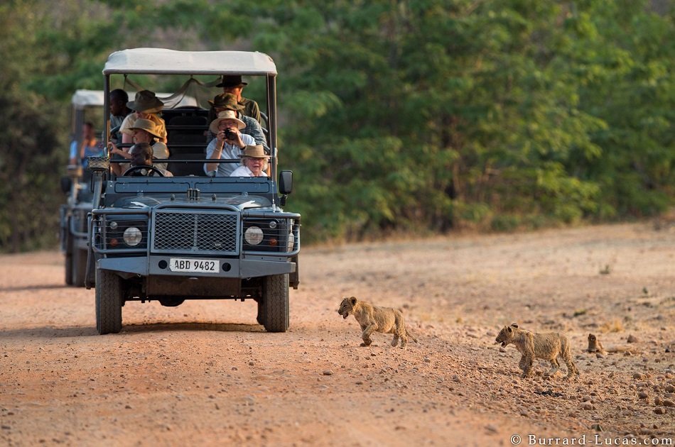 Affordable 7 Days Zambia Safari, Victoria Falls and South Luangwa National Park