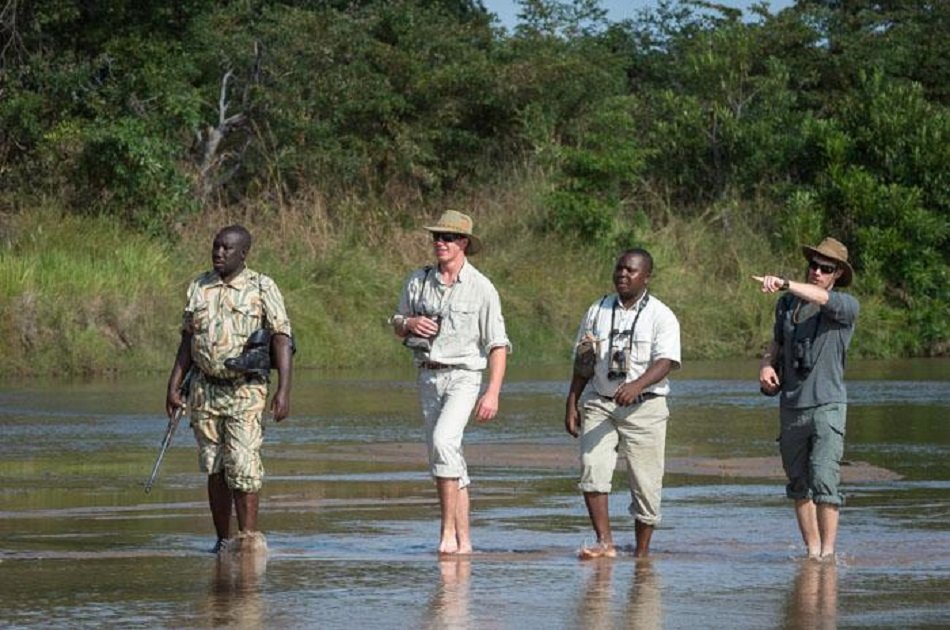 Affordable 7 Days Zambia Safari, Victoria Falls and South Luangwa National Park