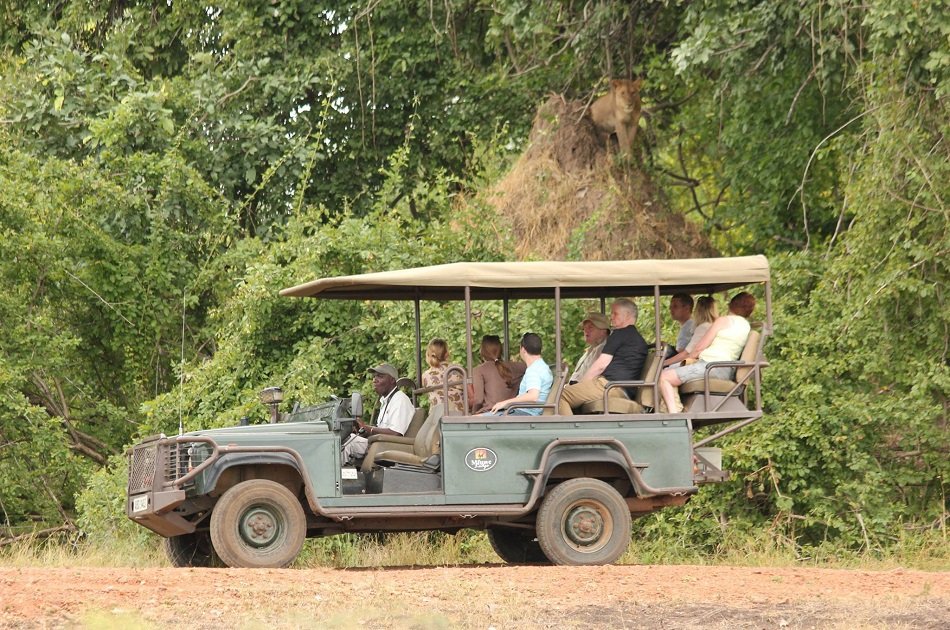 Affordable 7 Days Zambia Safari, Victoria Falls and South Luangwa National Park