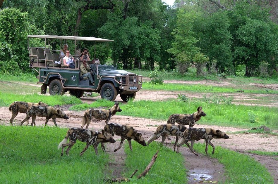 Affordable 7 Days Zambia Safari, Victoria Falls and South Luangwa National Park