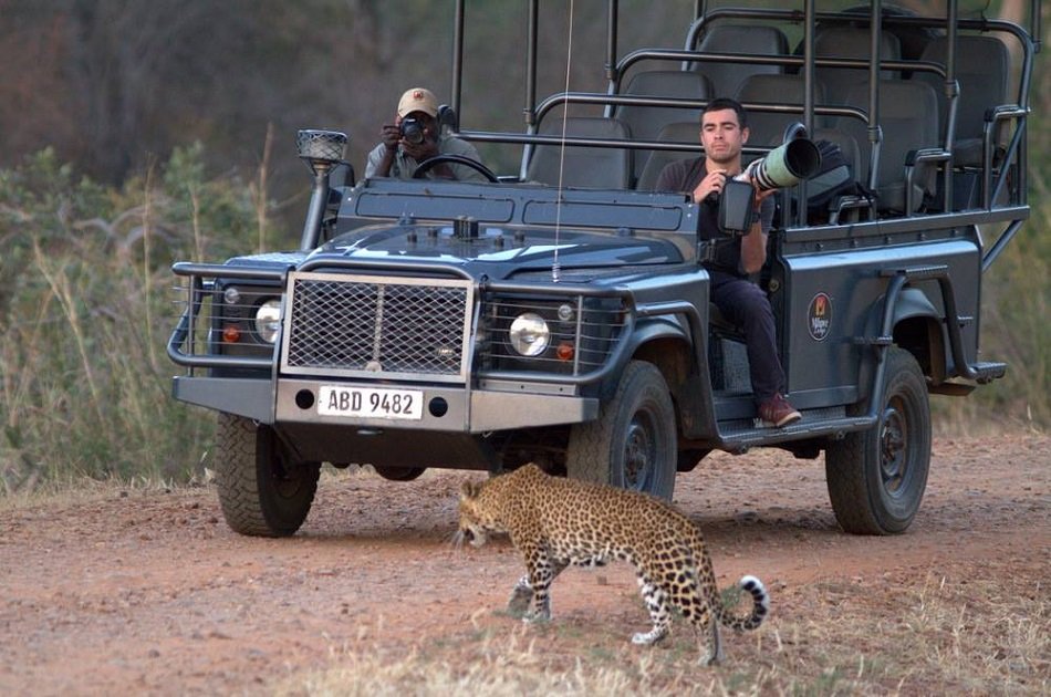 Affordable 7 Days Zambia Safari, Victoria Falls and South Luangwa National Park