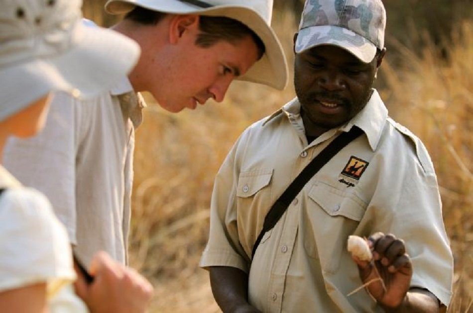 Victoria Falls and South Luangwa National Parks Safari 6 Day Tour