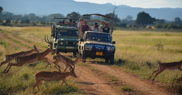 Tours of the Wonderful Wilderness in Serengeti
