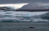 Golden Circle Classic Tour from Reykjavik - This experience is not to be missed!
