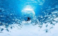 Golden Circle Classic Tour from Reykjavik - This experience is not to be missed!