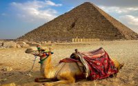Private Full Day Tour to Alexandria from Cairo
