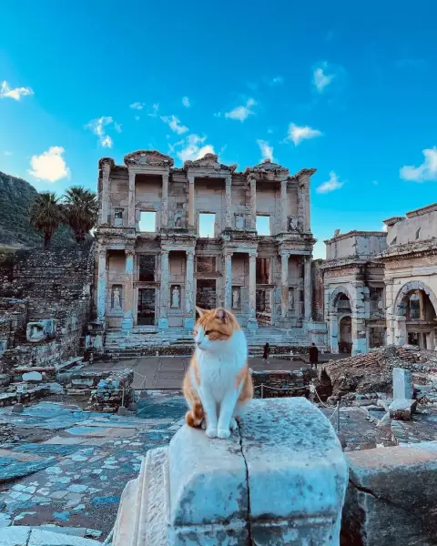 Small-Group Skip-the-Line | Half-Day Ancient Ephesus Tour With House of Virgin Mary